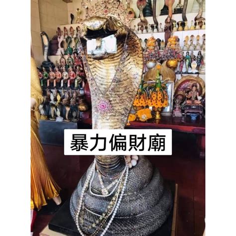 蛇偏財運 小鳥啄窗戶